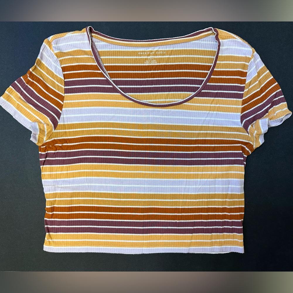 🌟American Eagle Striped Crop Top